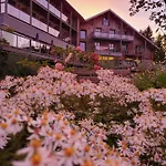 Interlaken Lounge Bar & 3*