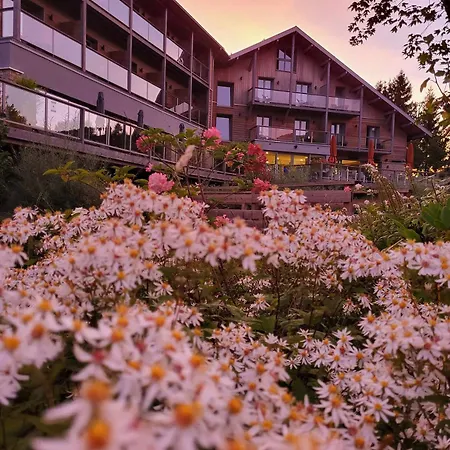 Interlaken Lounge Bar & 3*
